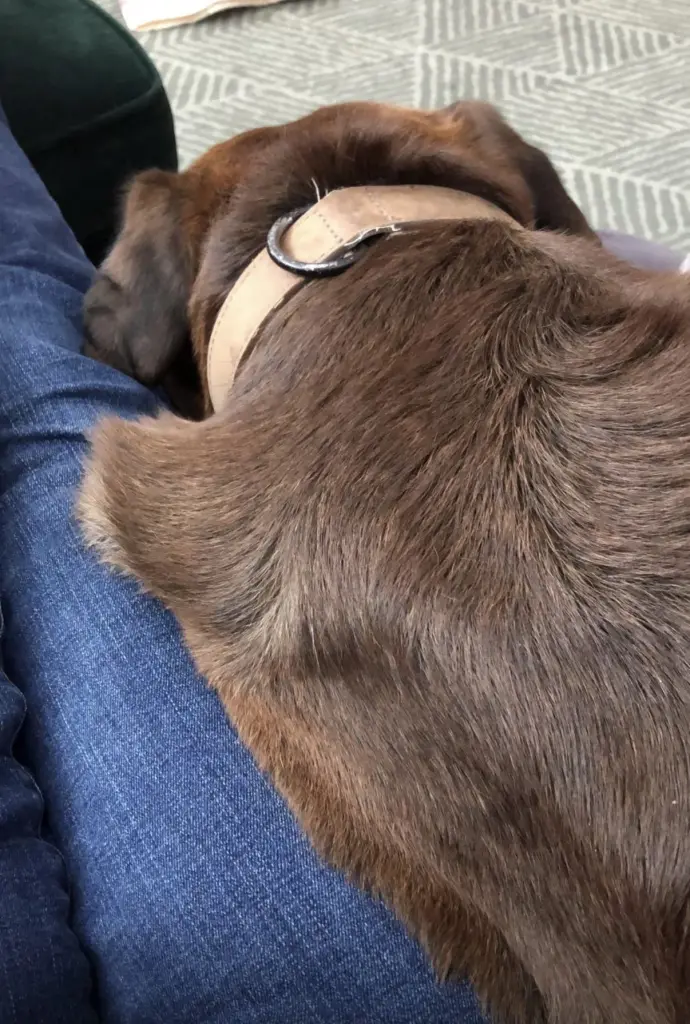 Andachtsbild von Julie Conde