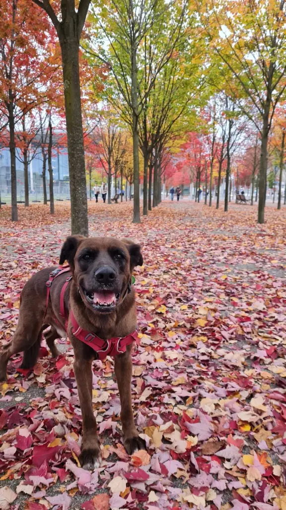Andachtsbild von Petra & Viktor Jordanov
