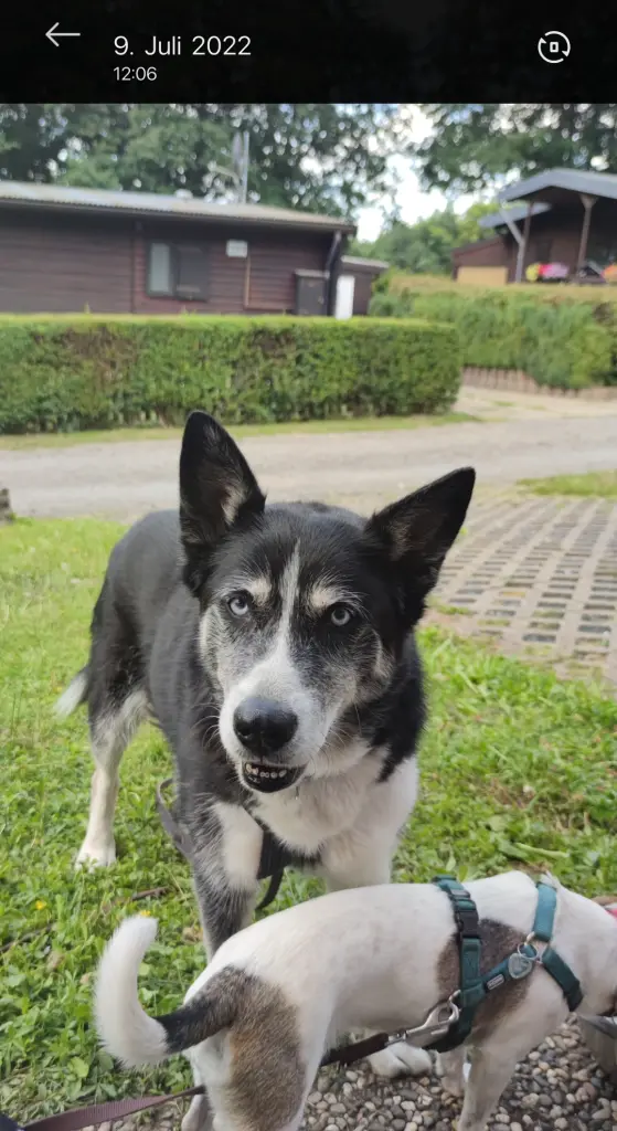 Andachtsbild von Sabrina