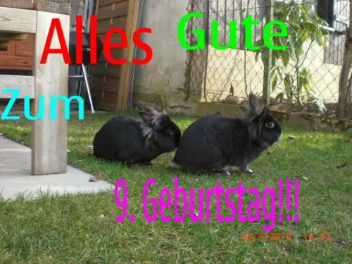 Image from Joschka und Nicki