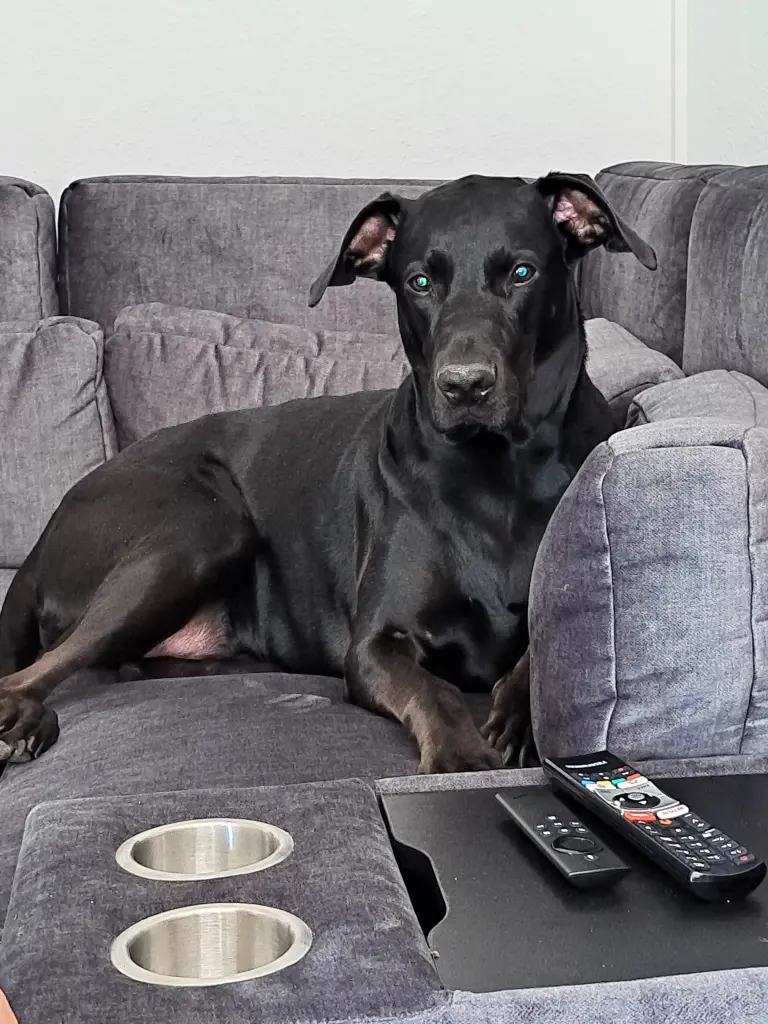 Andachtsbild von Sina Schüler