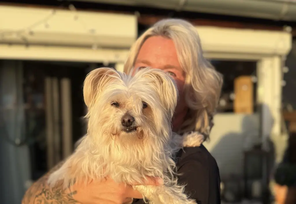 Image from Tilly