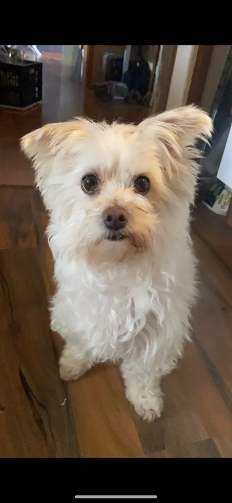 Image from Tilly