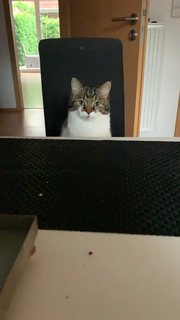 Image from Snow