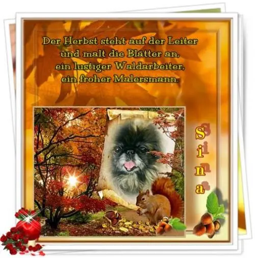 Image from mein liebstes Sternchen Sina
