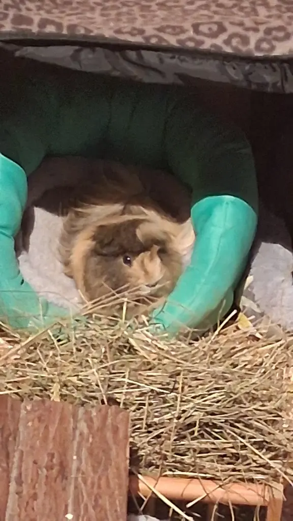 Lillifee beim kuscheln