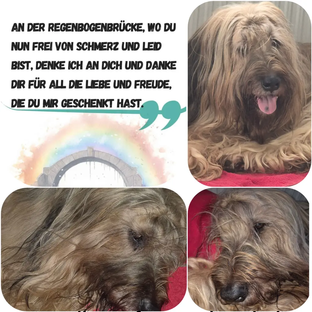Image from Jule