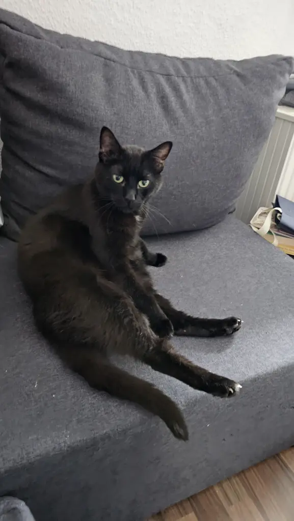 Andachtsbild von Lydia Hentschel