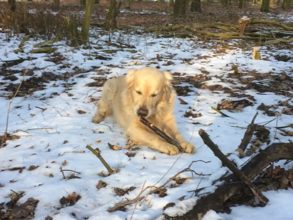 Andachtsbild von Andy und Piet ❤️❤️