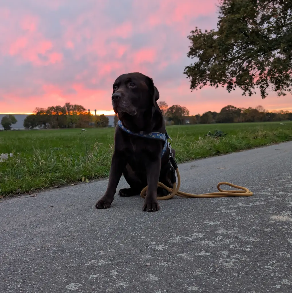 Andachtsbild von Udo Scheibler