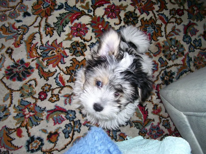 Andachtsbild von Dieter Jullien