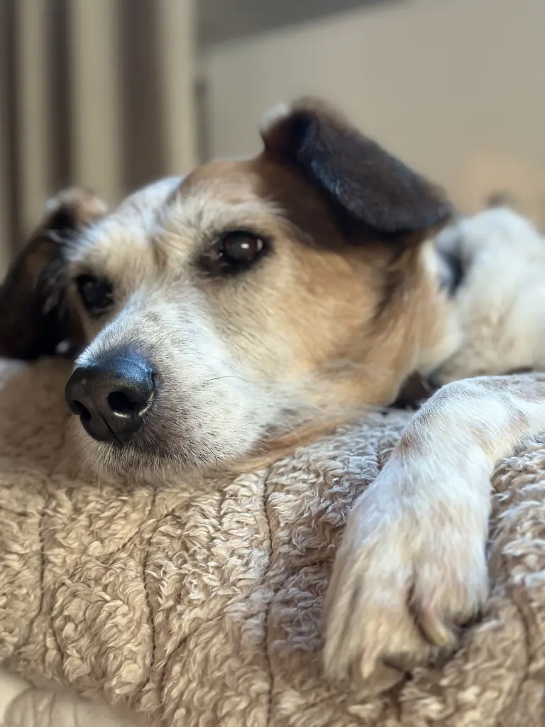 Andachtsbild von Anja Tölle