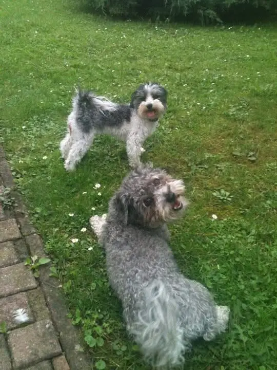 Andachtsbild von Daniela Pust