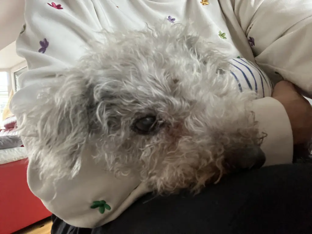 Dein letzter Tag😔