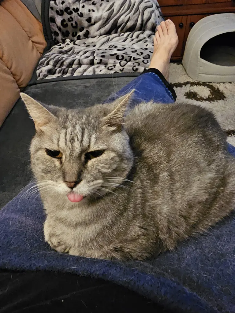 Alles meins. Auch mein Personal.