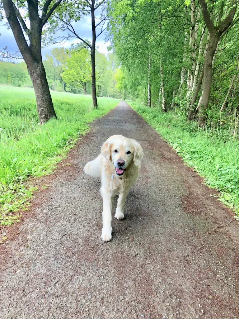 Andachtsbild von Andy und Piet ❤️