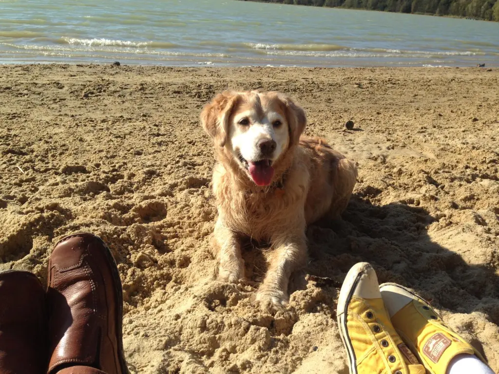 Bild von Dhana Grazia