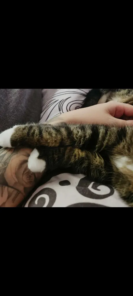 Andachtsbild von Susanne Weigelt