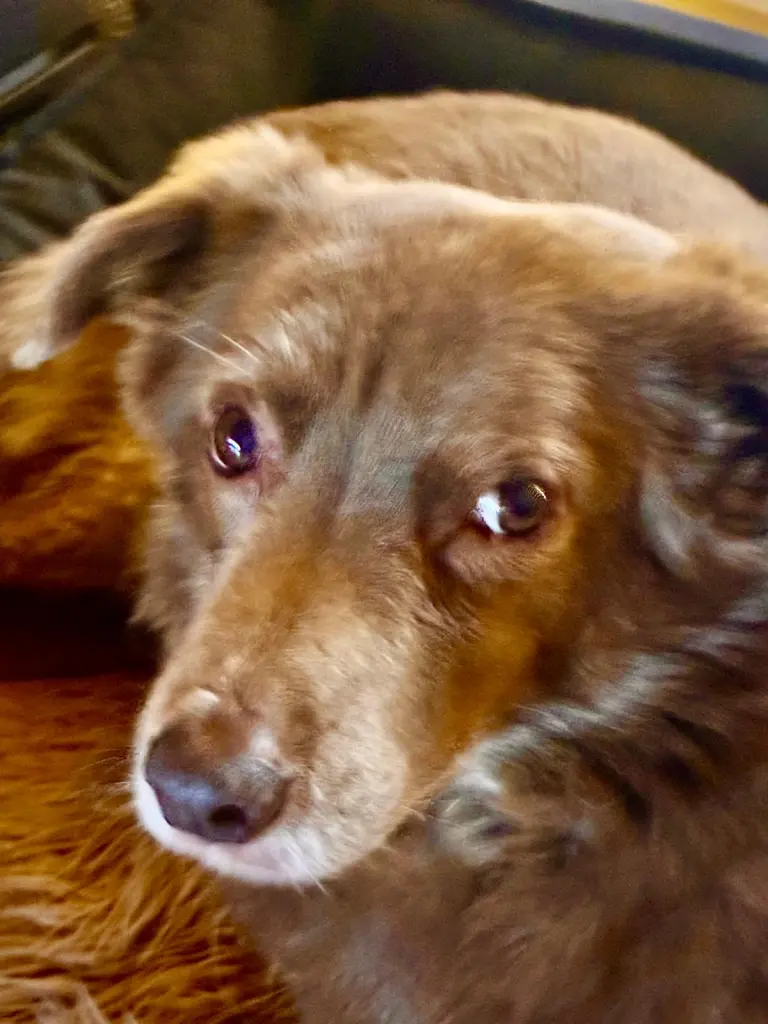 Andachtsbild von Martina Fackert