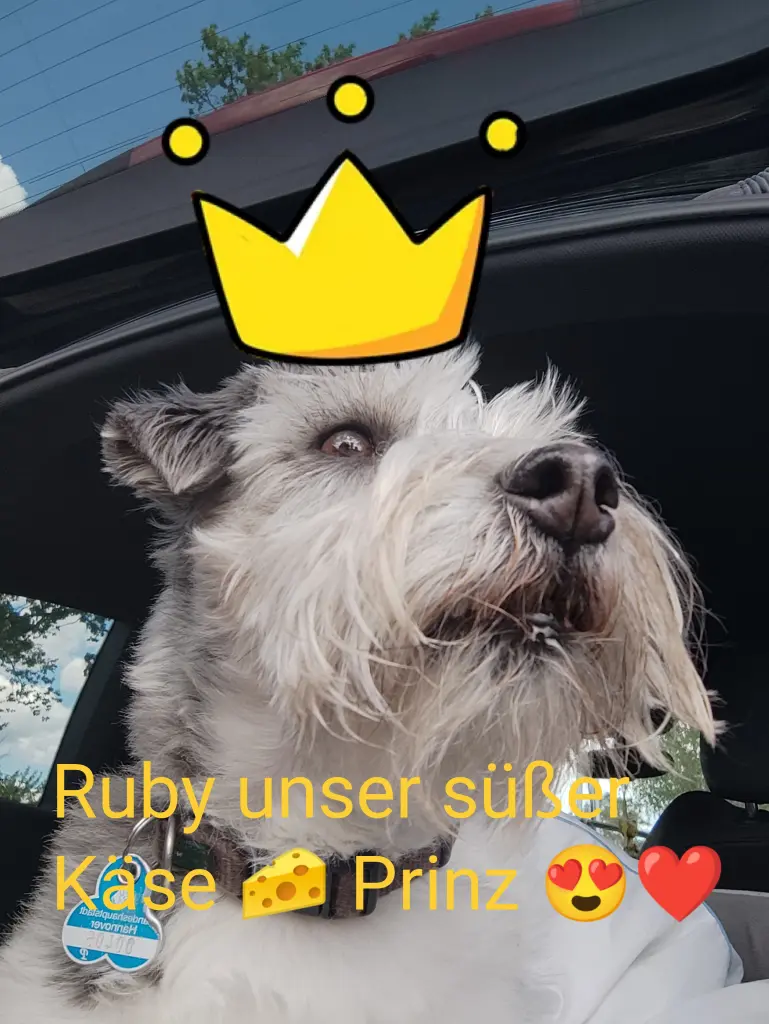 Bild von Ruby