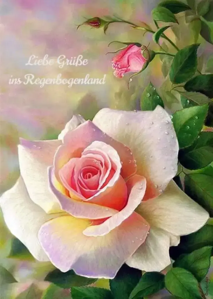 Condolence image of Ruhe in Frieden.