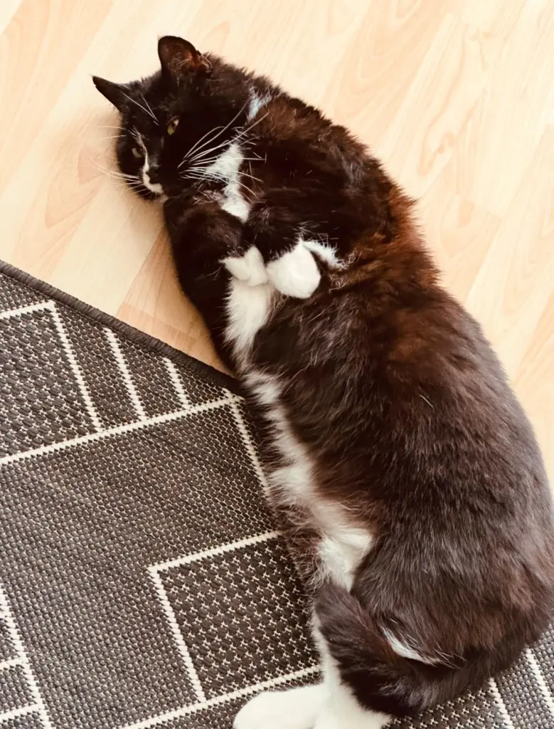 Andachtsbild von Anna Schäfer