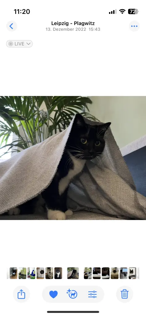 Bild von Cleo & Mika