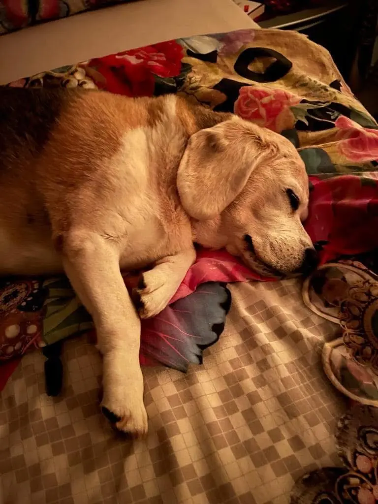 Andachtsbild von Lubomira Zynda