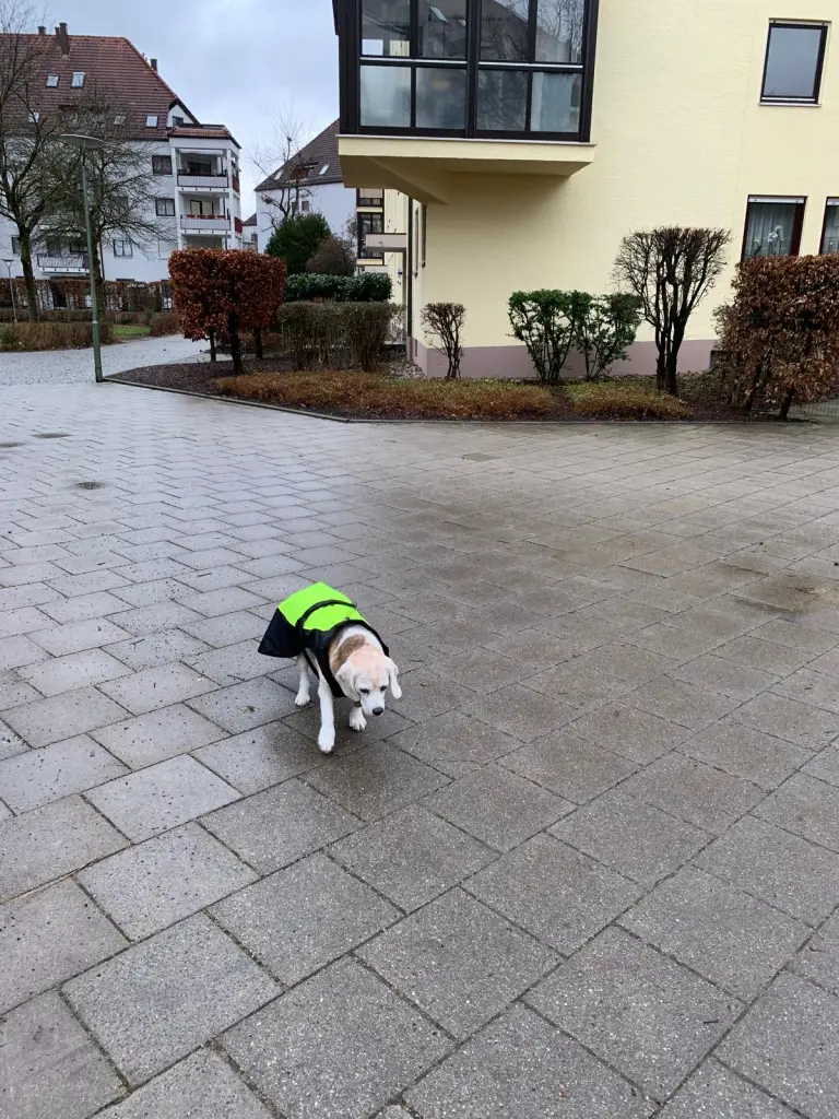 Andachtsbild von Lubomira Zynda