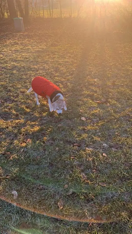 Andachtsbild von Lubomira Zynda