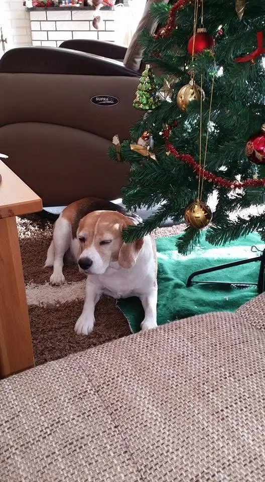 Andachtsbild von Lubomira Zynda