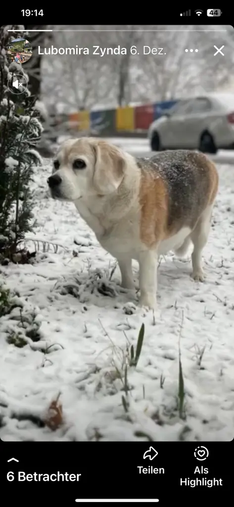 Andachtsbild von Lubomira Zynda