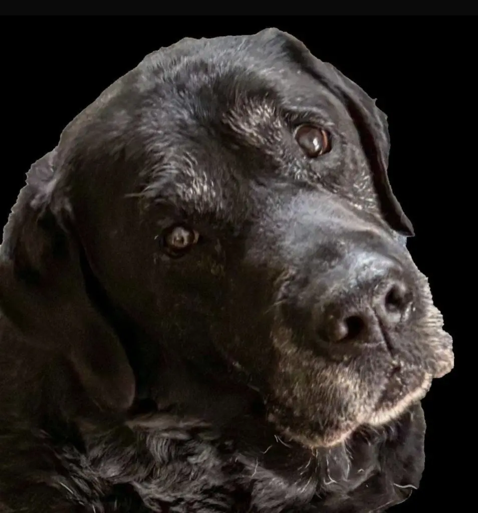 Condolence image of Tamara Büttner
