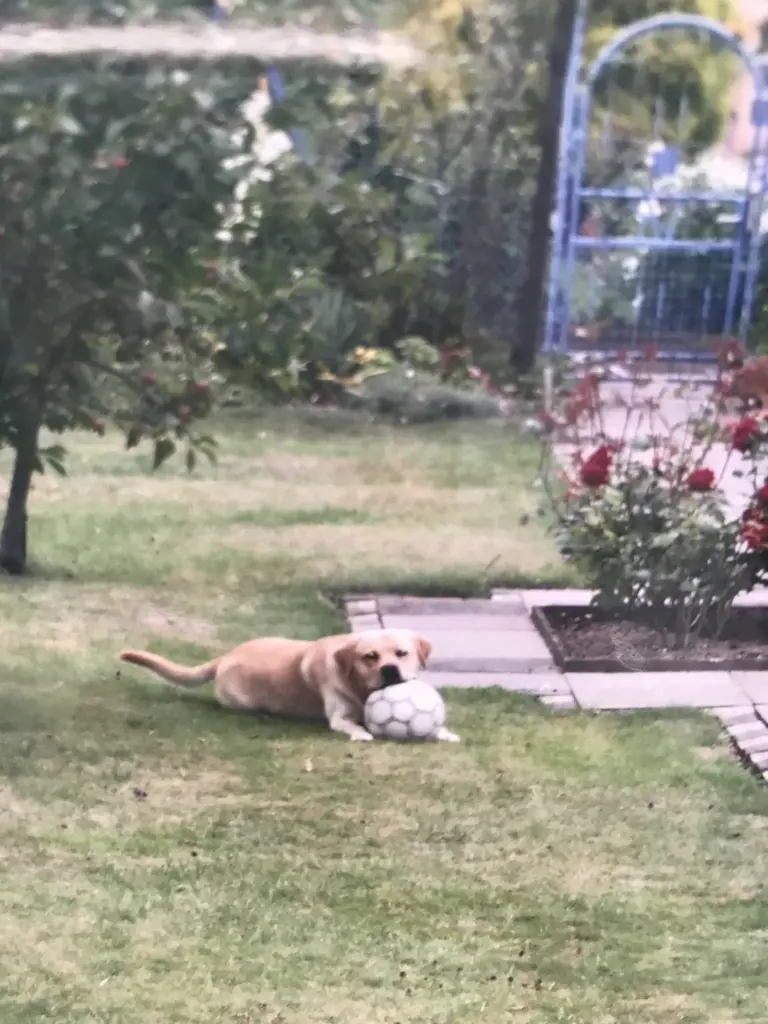 Andachtsbild von Elzbieta mit Max im Herzen