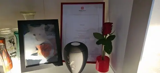 Andachtsbild von Marko Röder