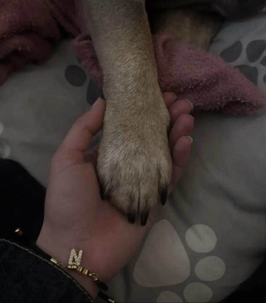 Andachtsbild von Fidan V.P