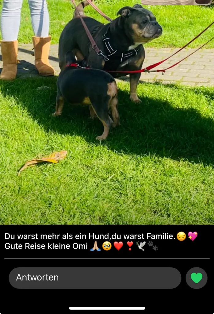 Andachtsbild von Selma Sabani