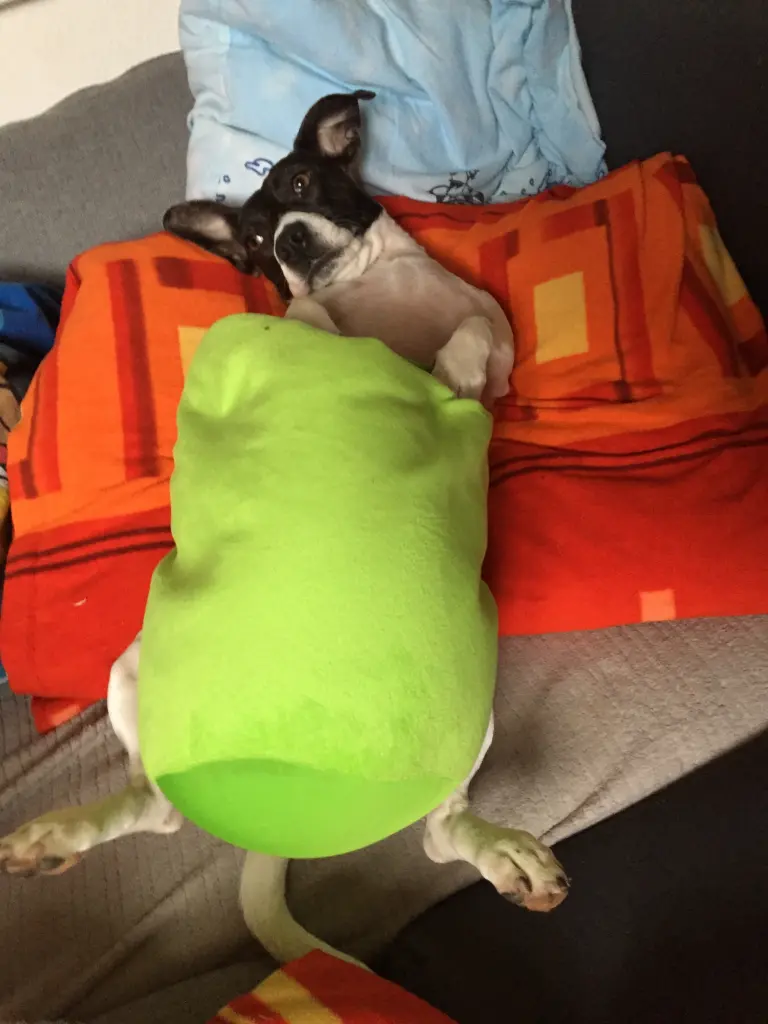 Andachtsbild von Lex Odinius