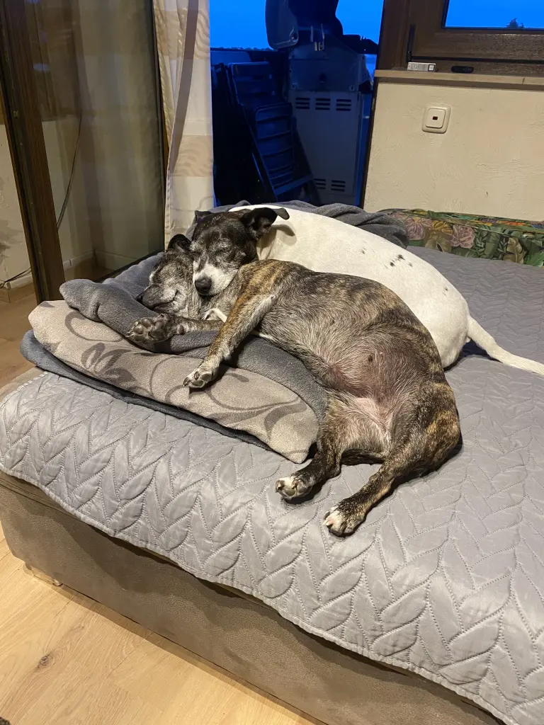 Andachtsbild von Tanja Odinius