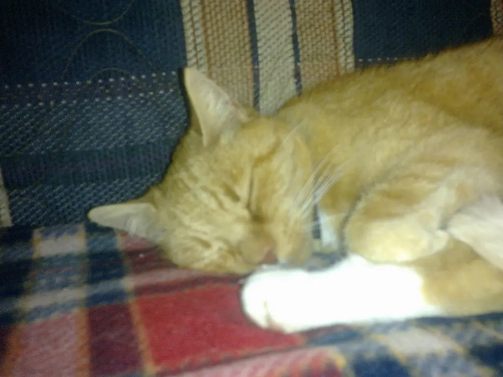 Image from Floh