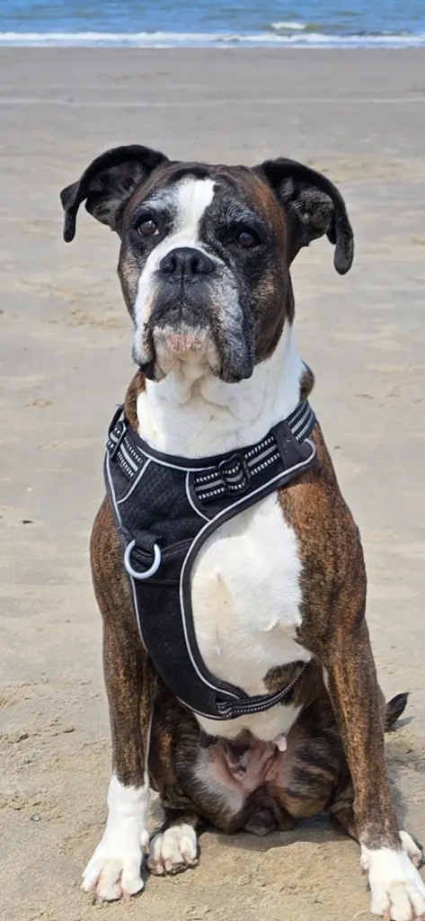 An deinem 7. Geburtstag am Strand