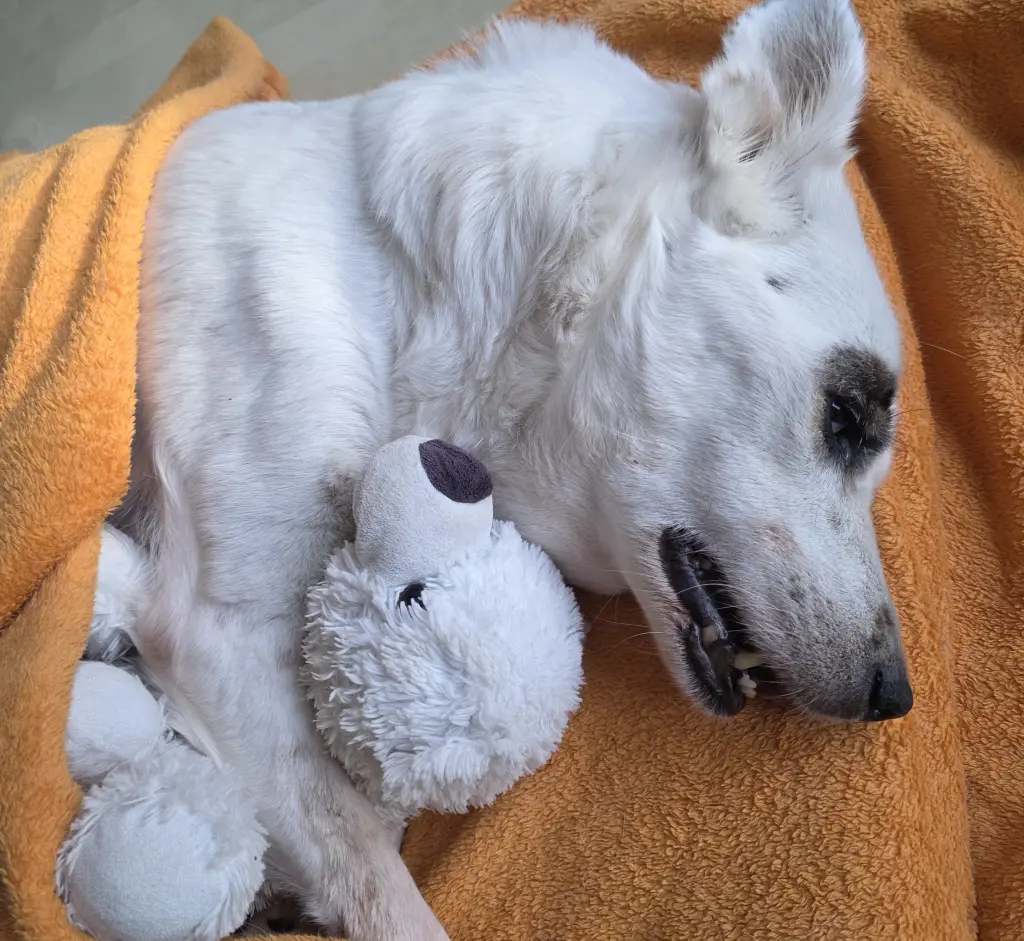 an ihrem letzten Tag bei mir