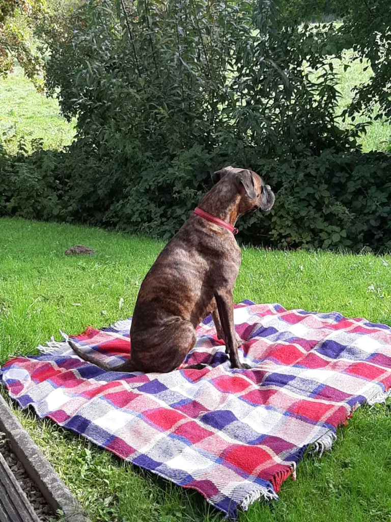 Andachtsbild von Meral Eckrich