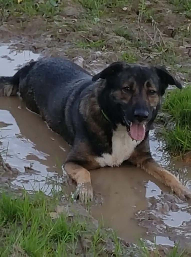 Andachtsbild von Sylvia