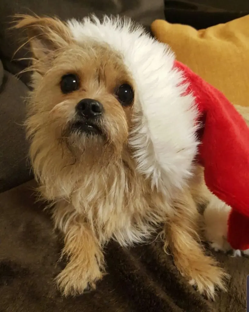 Mein Lieblingsfoto ❤️🐾