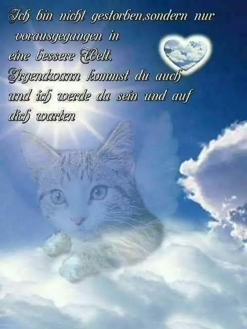 Condolence image of Konny mit Piccolino-Fly tief im ❤️