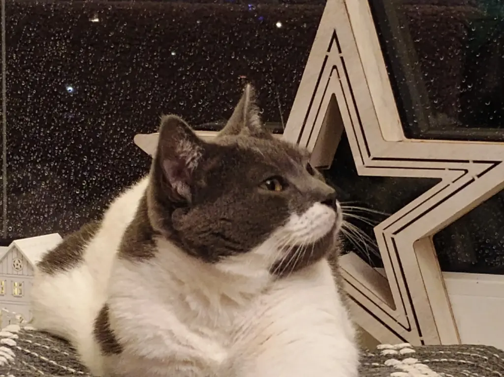 Andachtsbild von Martina