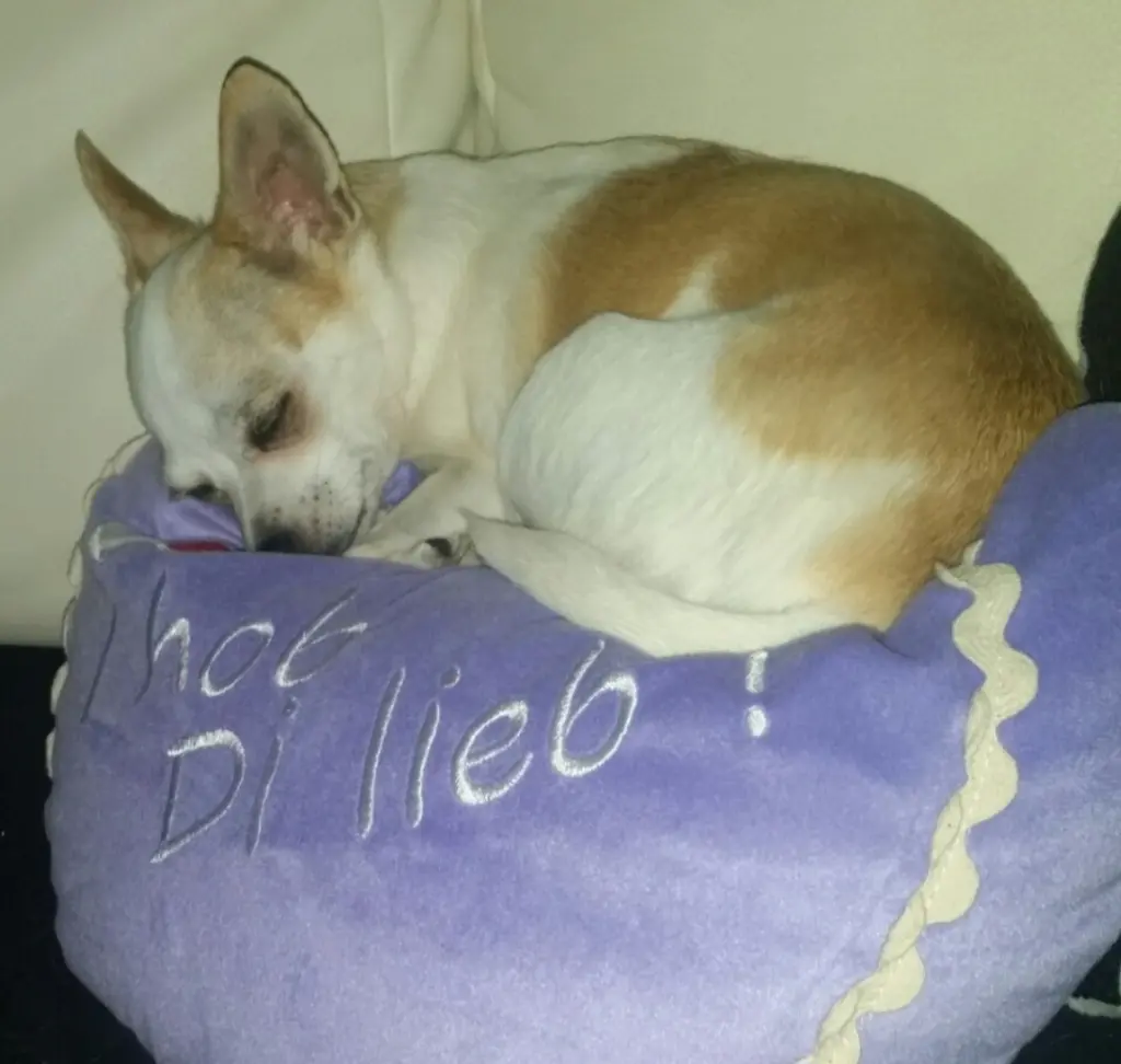 Andachtsbild von Jessica