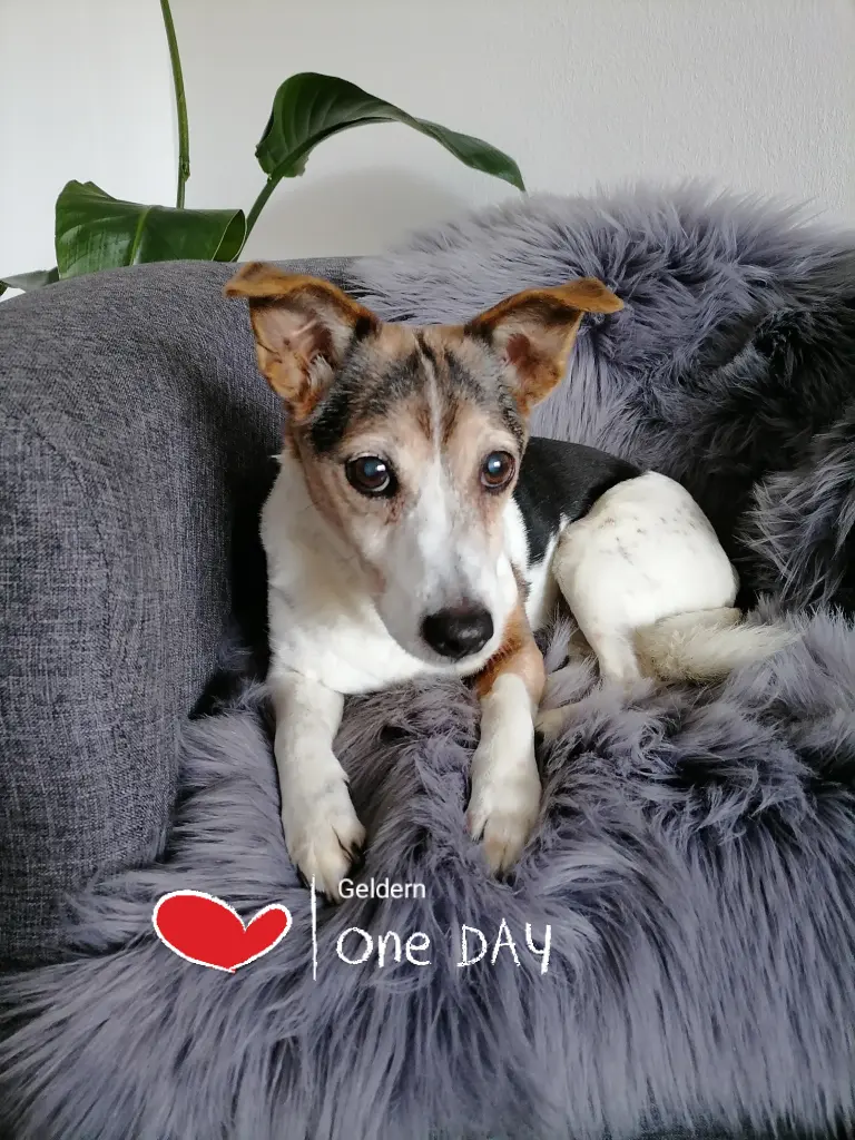 Andachtsbild von Daniela Nann