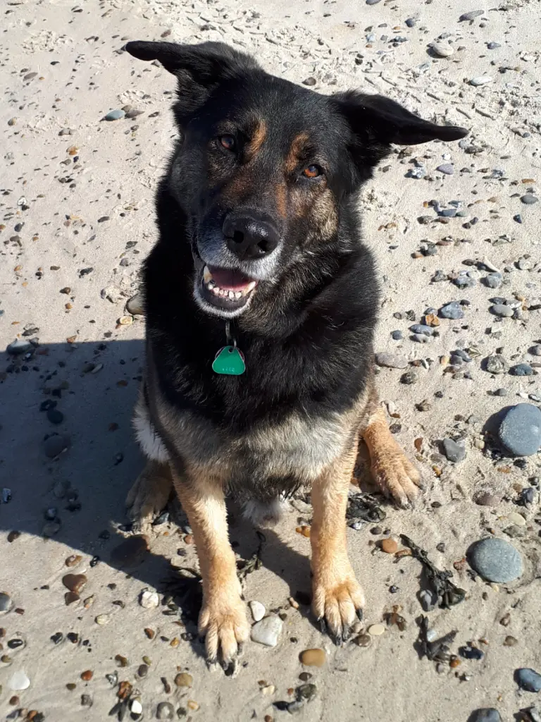 Am Strand in Dänemark